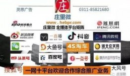 正定自贸区最新爆料,政策红利释放，区域发展新引擎加速启动